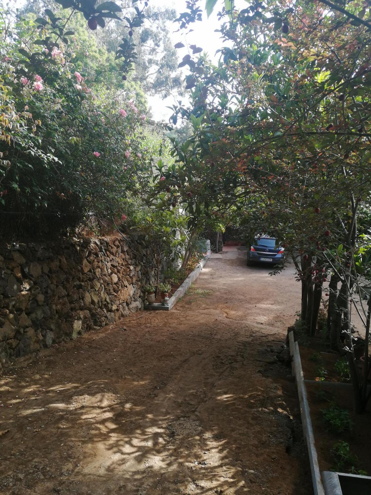Casa Ecologica, Autosuficiente En Lomo Blanco, Dentro De Una Casa Rodeada De Naturaleza San Juan de la Rambla Екстер'єр фото